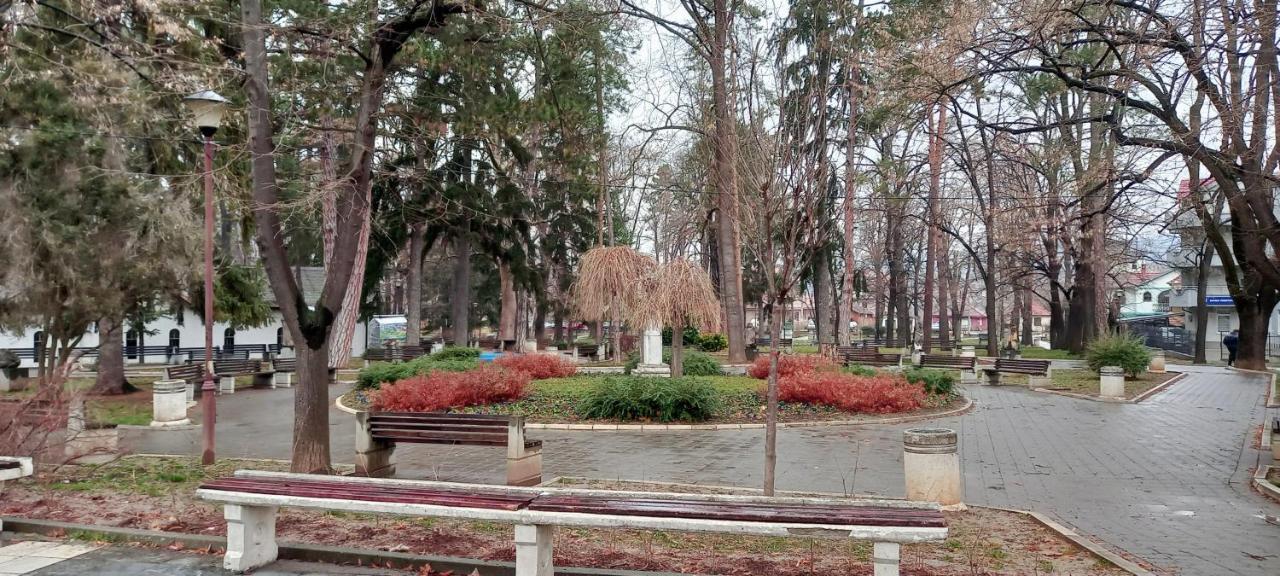 Mist8 Διαμέρισμα Soko Banja Εξωτερικό φωτογραφία