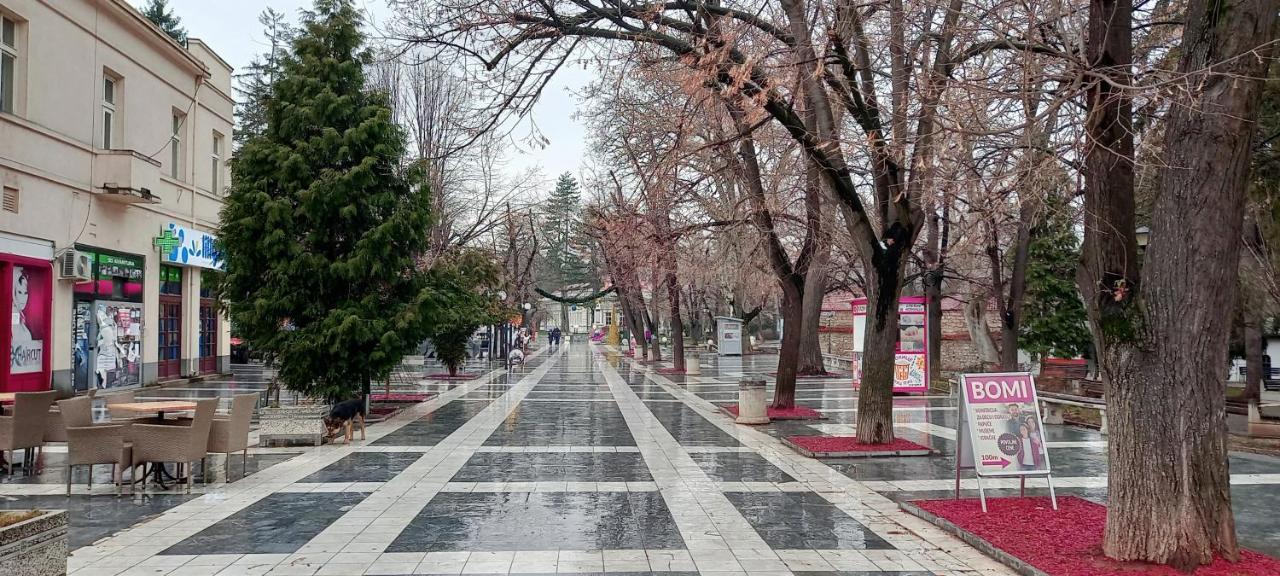 Mist8 Διαμέρισμα Soko Banja Εξωτερικό φωτογραφία